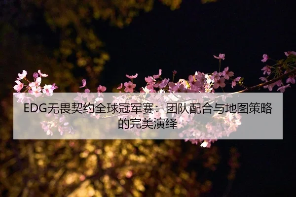 EDG无畏契约全球冠军赛：团队配合与地图策略的完美演绎