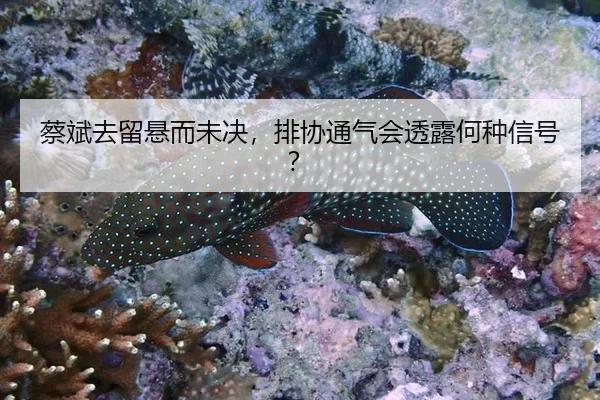 cai-bin-qu-liu-xuan-er-wei-jue-pai-xie-tong-qi-hui-tou-lu-he-zhong-xin-hao-2-752.jpg