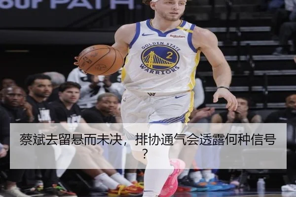 蔡斌去留悬而未决，排协通气会透露何种信号？