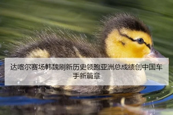da-ka-er-sai-chang-han-wei-shua-xin-li-shi-ling-pao-ya-zhou-zong-cheng-ji-chuang-zhong-guo-che-shou-xin-pian-zhang-2-271.jpg